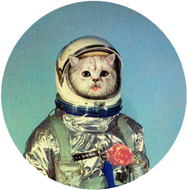 Cosmic Cat Astronautwith Rose