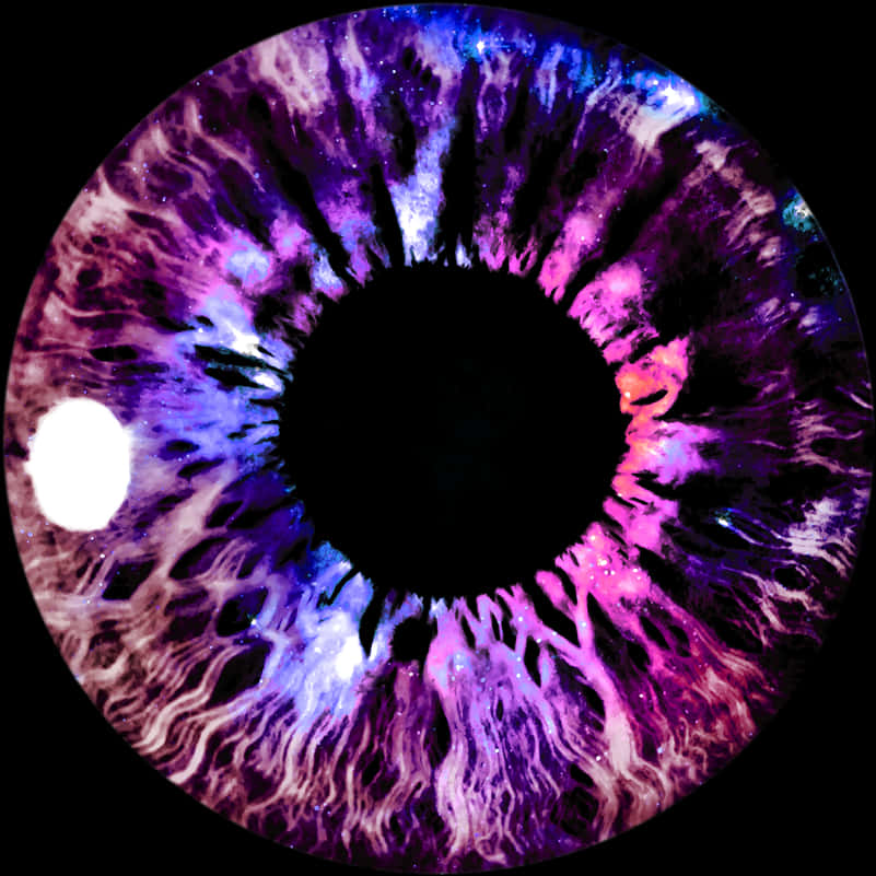 Cosmic_ Iris_ Closeup