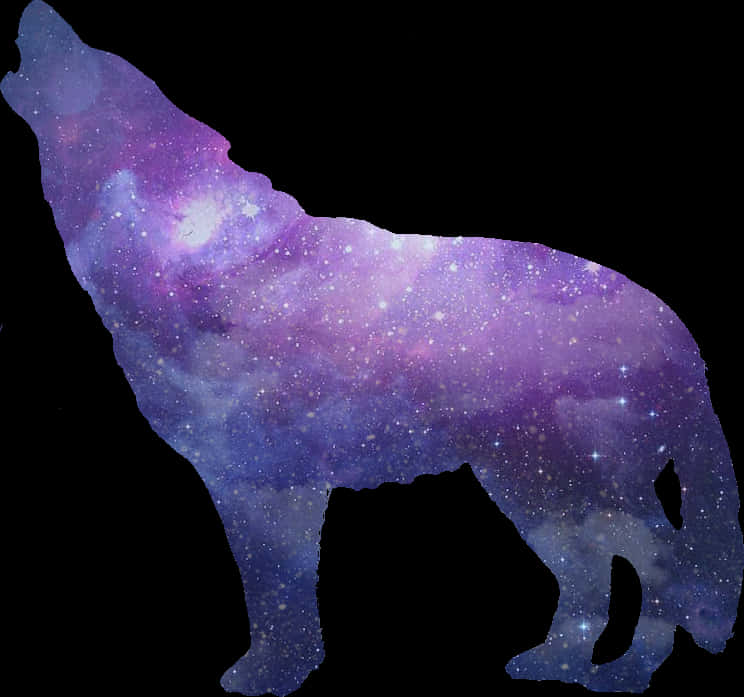 Cosmic Wolf Silhouette