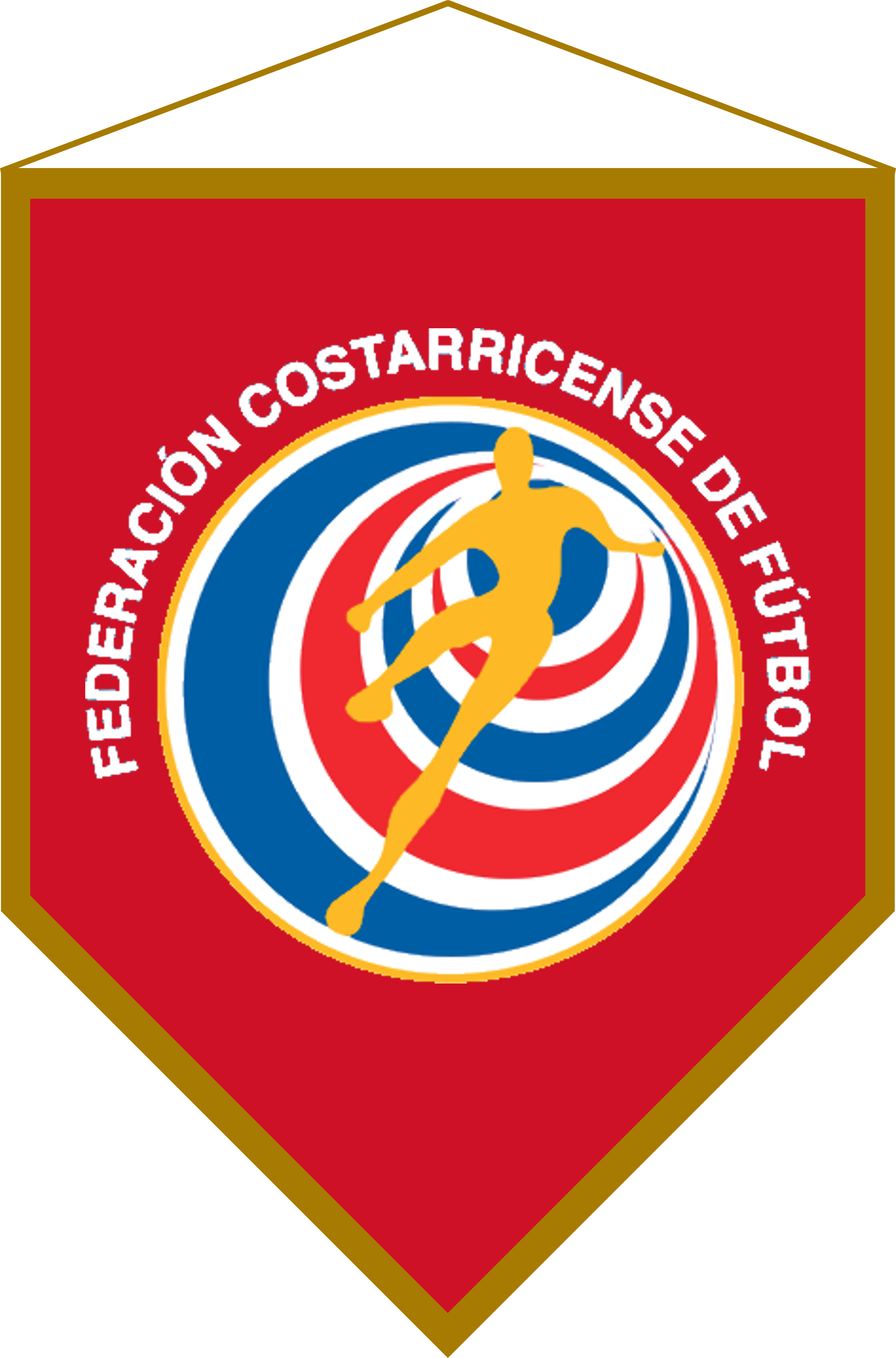 Costa Rican Football Federation Pennant