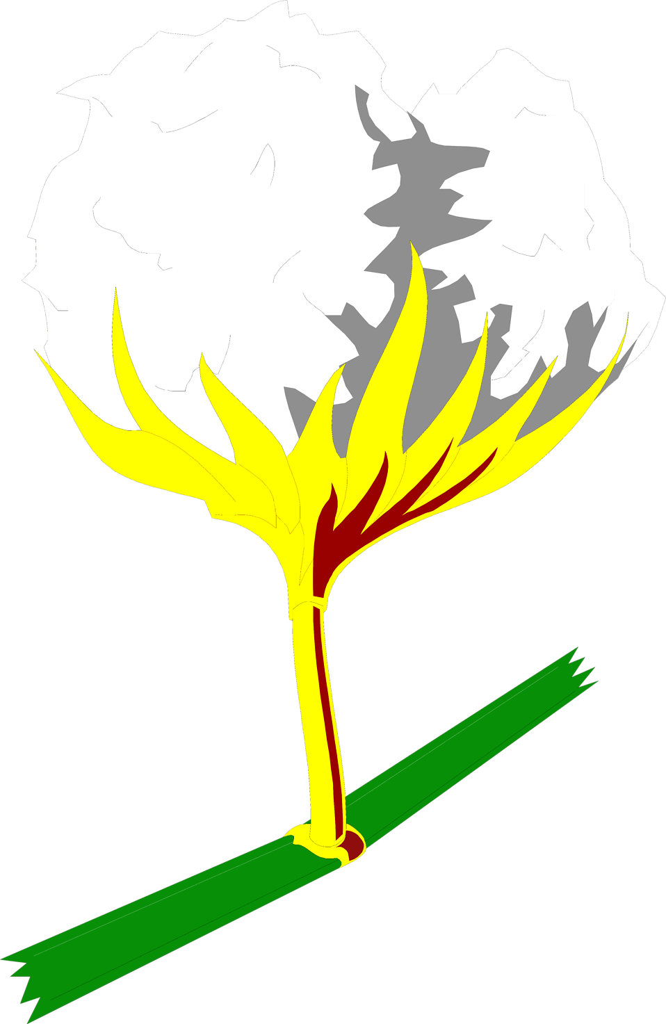 Cotton Plant Illustration