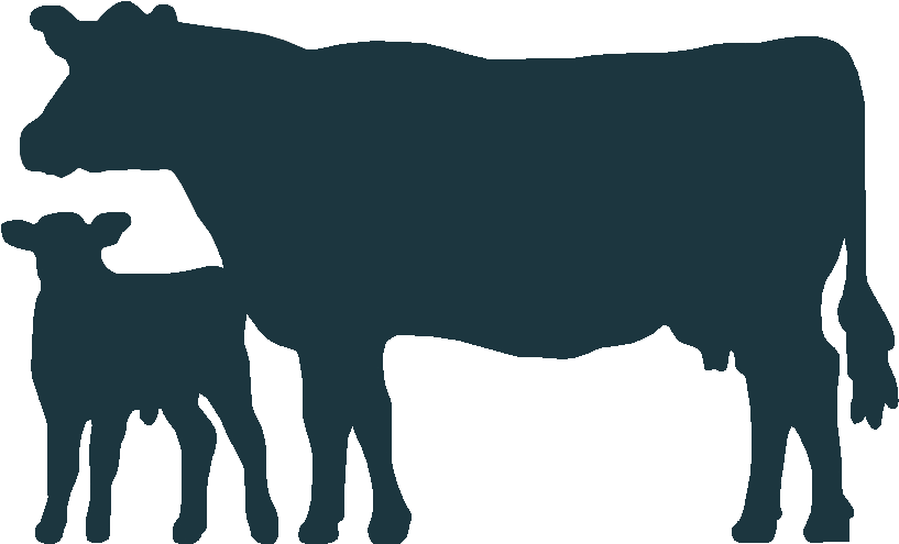 Cowand Calf Silhouette