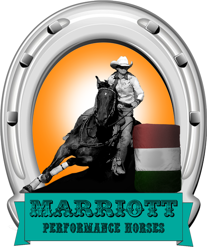 Cowboy Horse Performance Logo