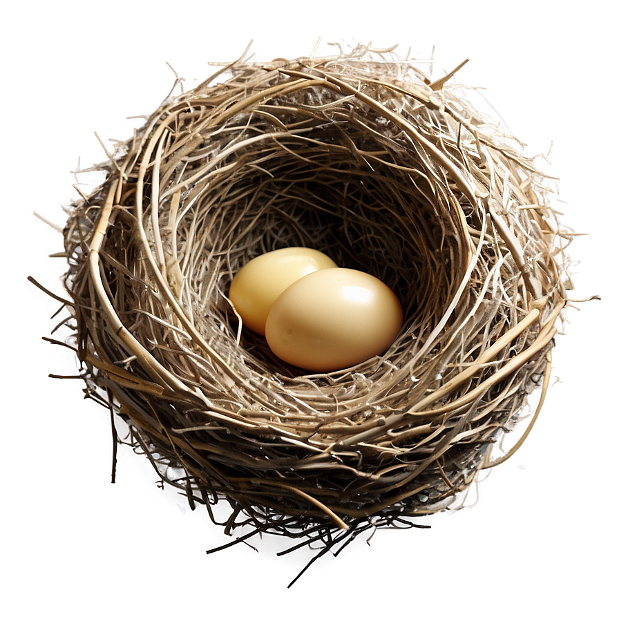 Cozy Bird Nest Png 05252024