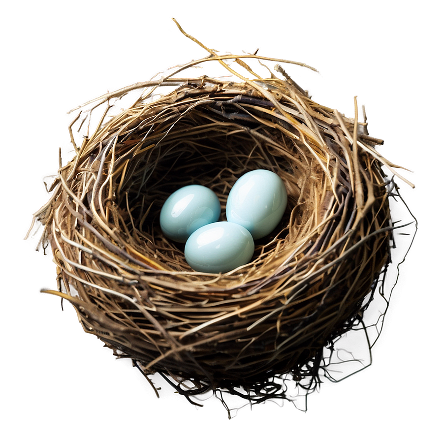 Cozy Bird Nest Png Hwp68