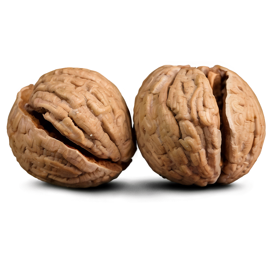 Cracked Walnut Png 52