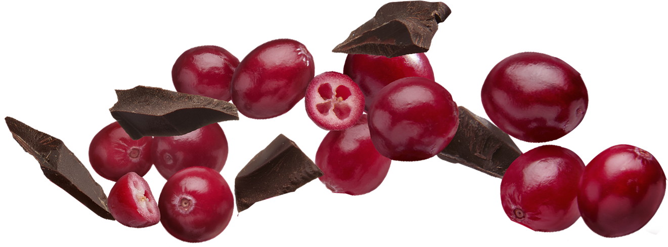 Cranberriesand Chocolate Pieces