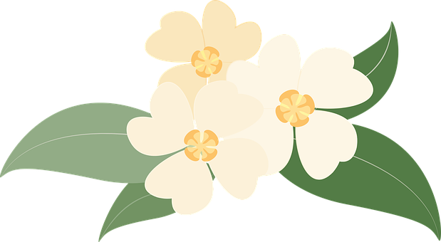 Creamy White Floral Illustration