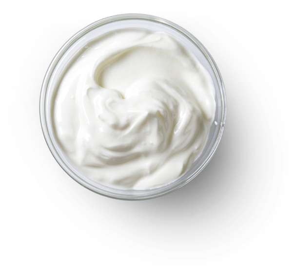 Creamy White Yogurt Top View