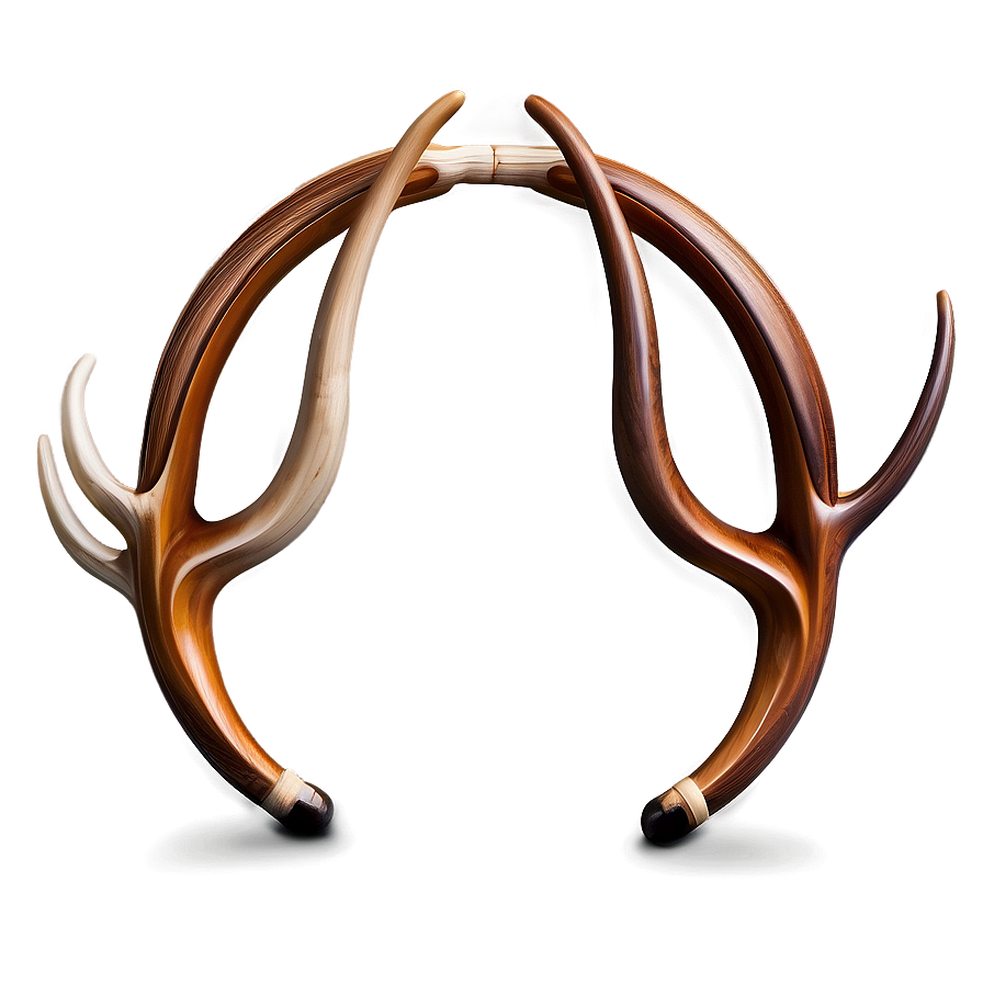 Creative Antler Concept Png 06212024