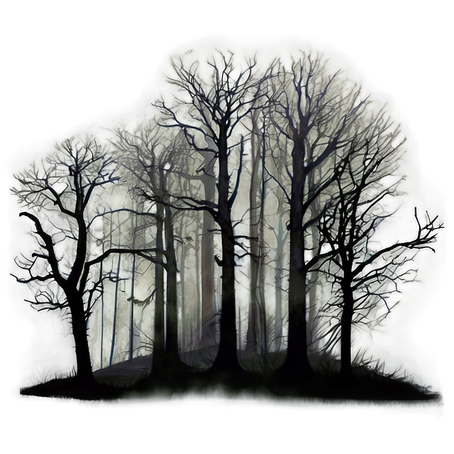 Creepy Fogged Trees Png Nsr