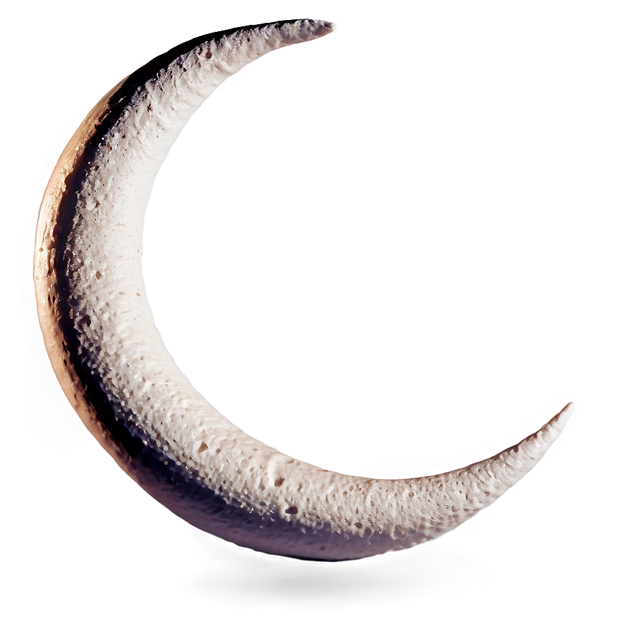 Crescent Shape Outline Png Kyo9