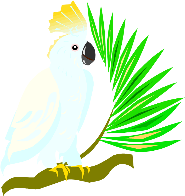 Crested Cockatoo Vector Illustration