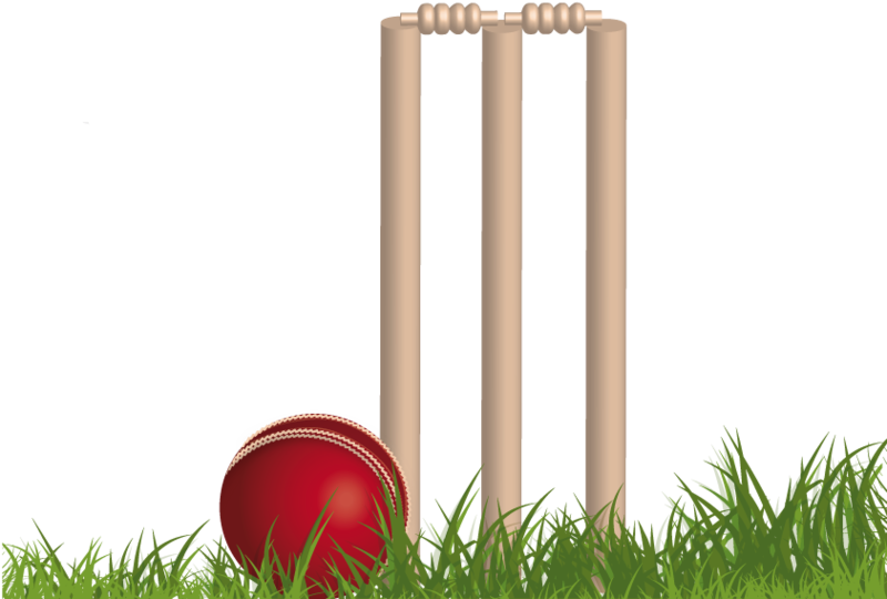 Cricket Balland Stumps