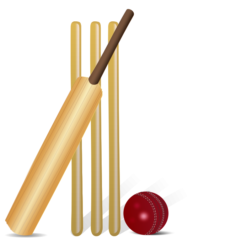 Cricket Bat Ball Stumps Illustration