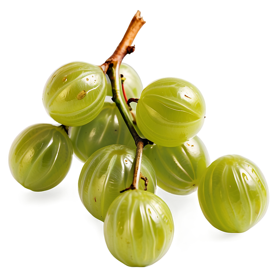 Crisp Gooseberry Png 05232024