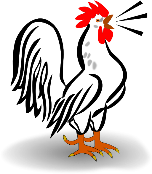 Crowing Rooster Illustration