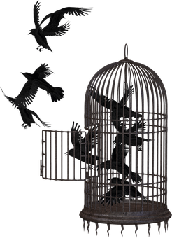 Crows Escaping Cage Dark Background