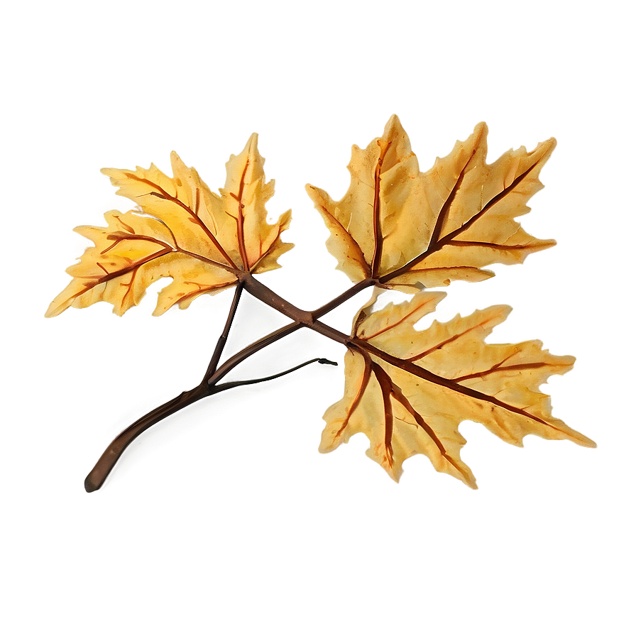 Crumbled Fall Leaves Png Kpr