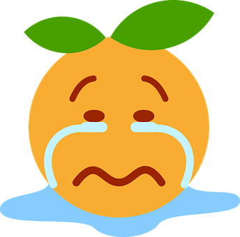 Crying Clementine Emoji