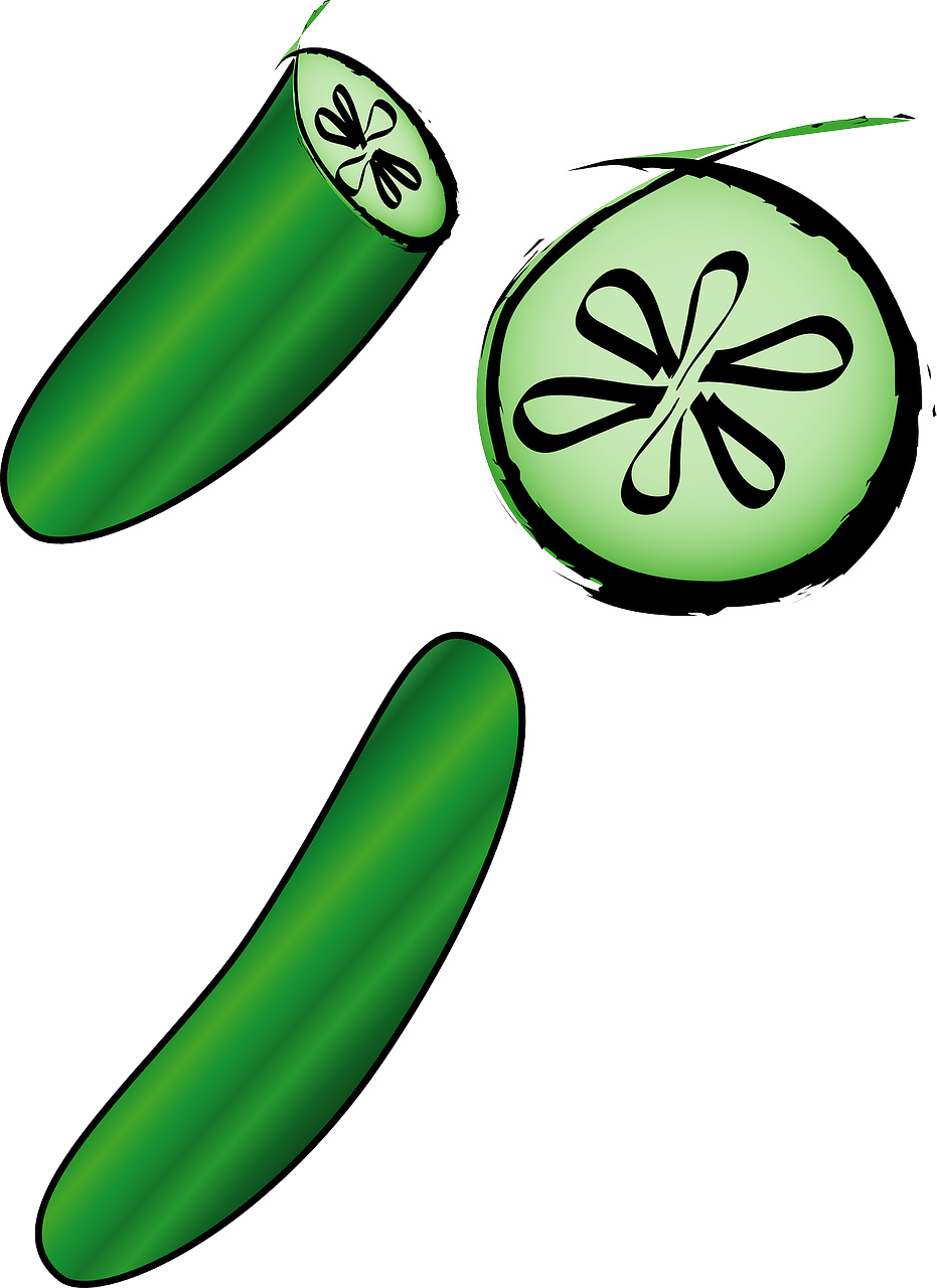 Cucumber_ Illustration_ Vector