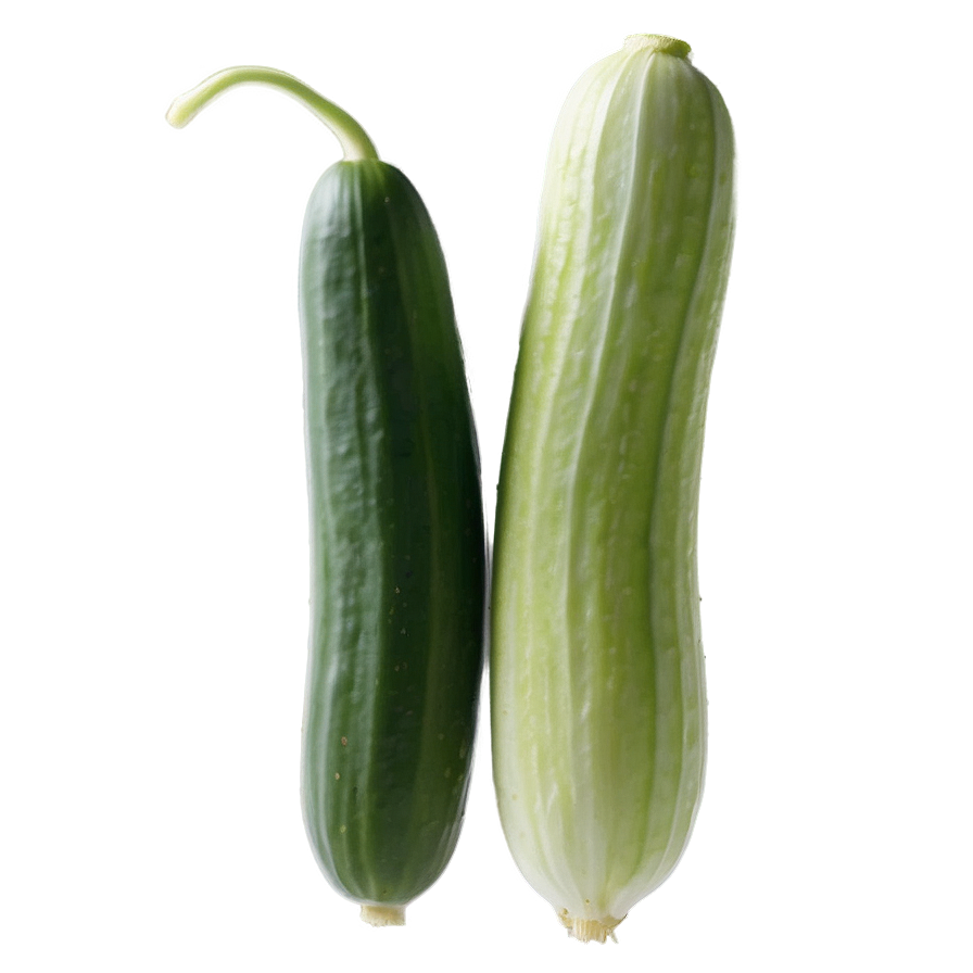 Cucumber Seedling Png Jhy