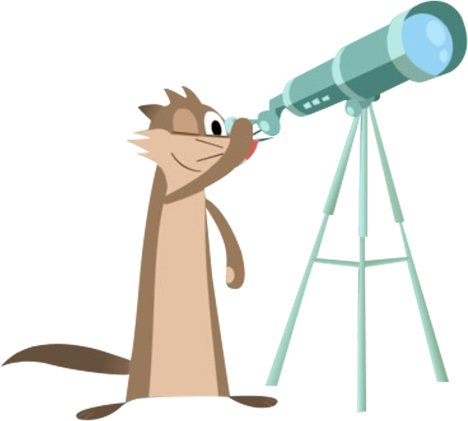 Curious Ferret With Telescope