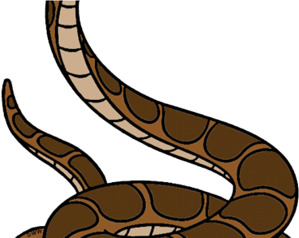 Curled_ Brown_ Snake_ Illustration