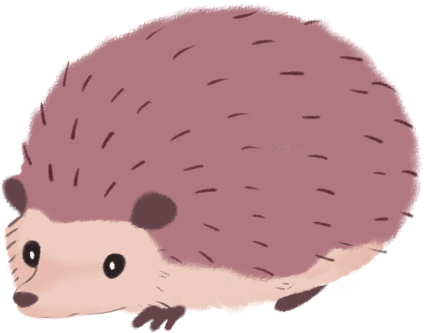 Cute Cartoon Hedgehog