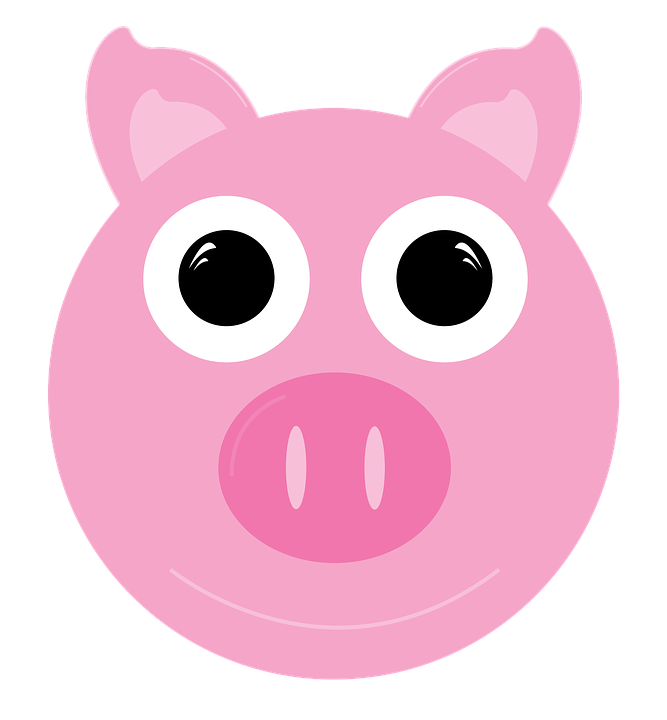 Cute Cartoon Pig Face