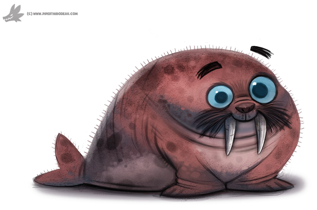 Cute Cartoon Walrus