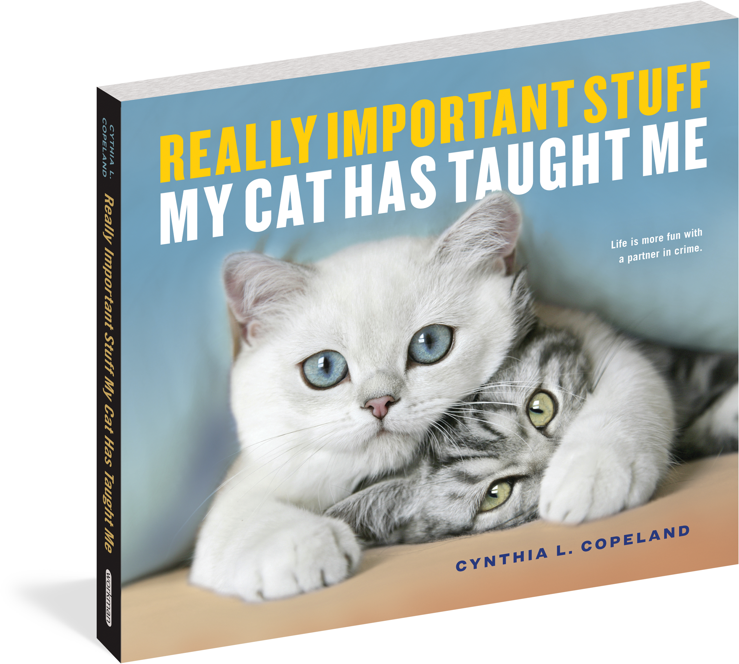 Cute Cats Book Cover