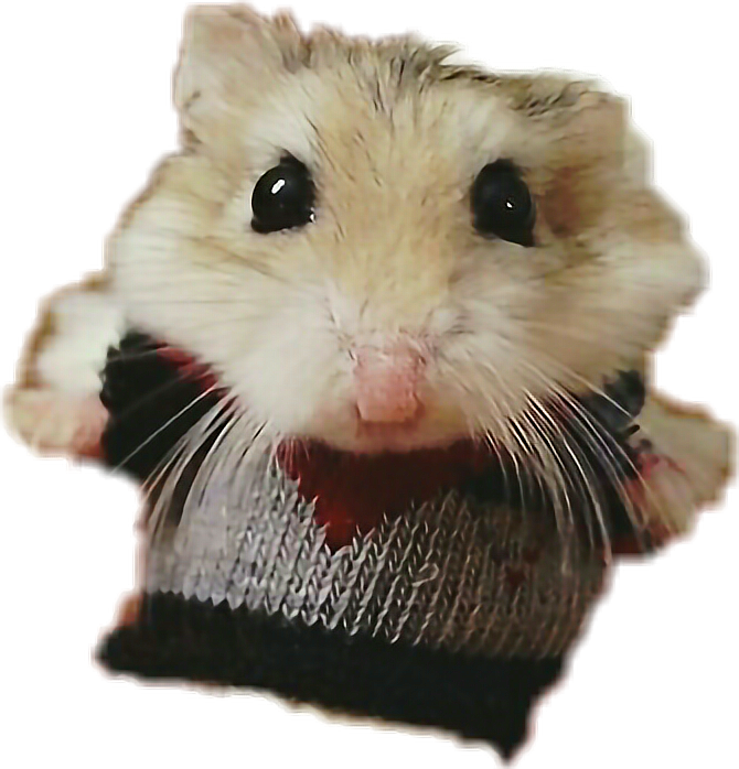 Cute Hamsterin Sweater.png