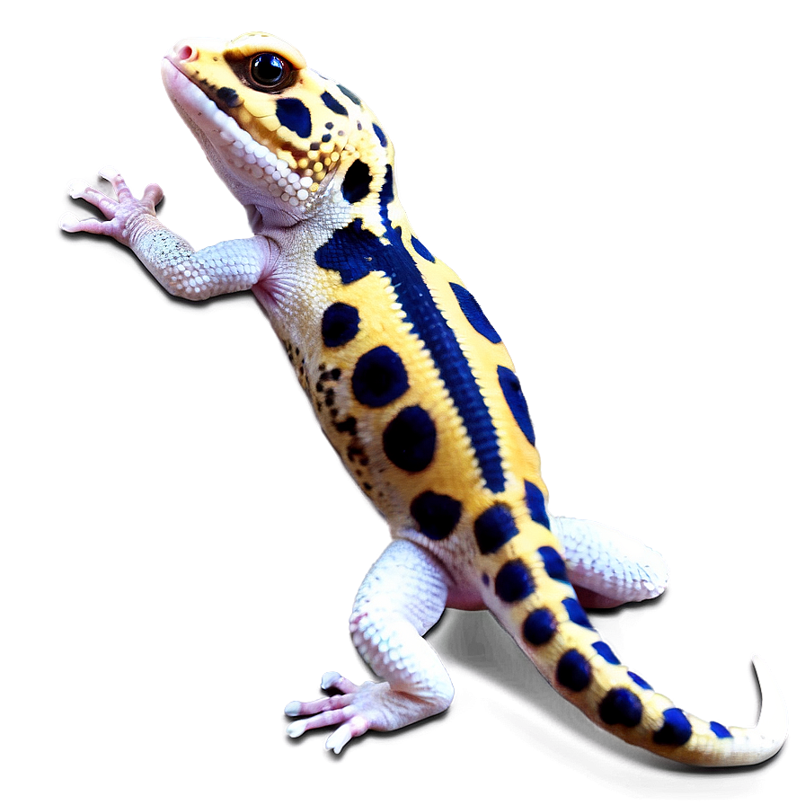 Cute Leopard Gecko Png Omr25