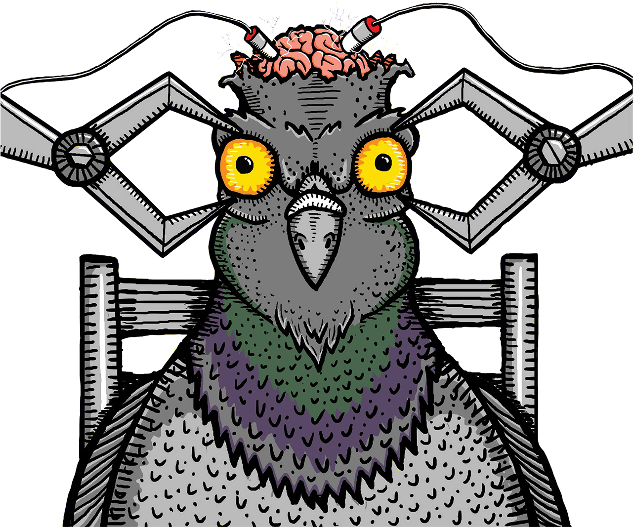 Cybernetic Pigeon Brain Experiment