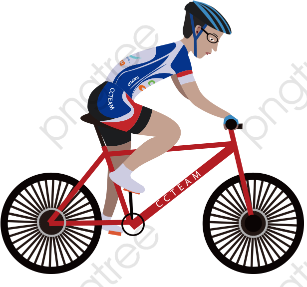 Cyclistin Action Illustration