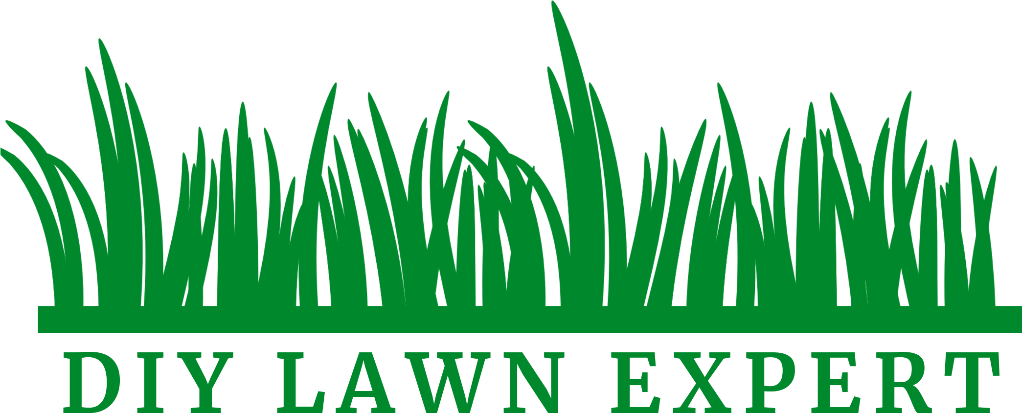 D I Y Lawn Expert Logo