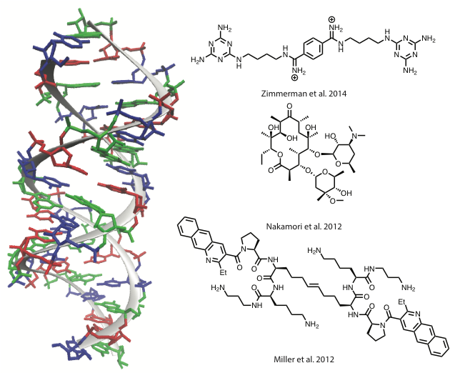 D N A Structureand Chemical Compounds