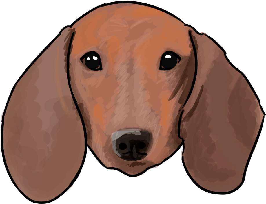 Dachshund Portrait Illustration