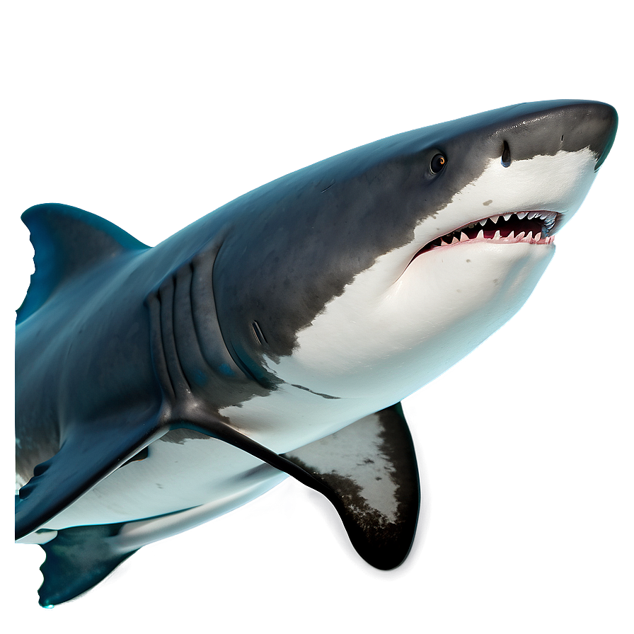 Daddy Shark Character Png 34