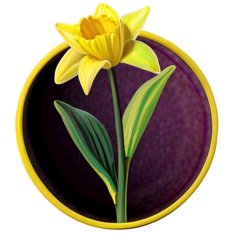 Daffodil Yellow Circle Idea Png 47