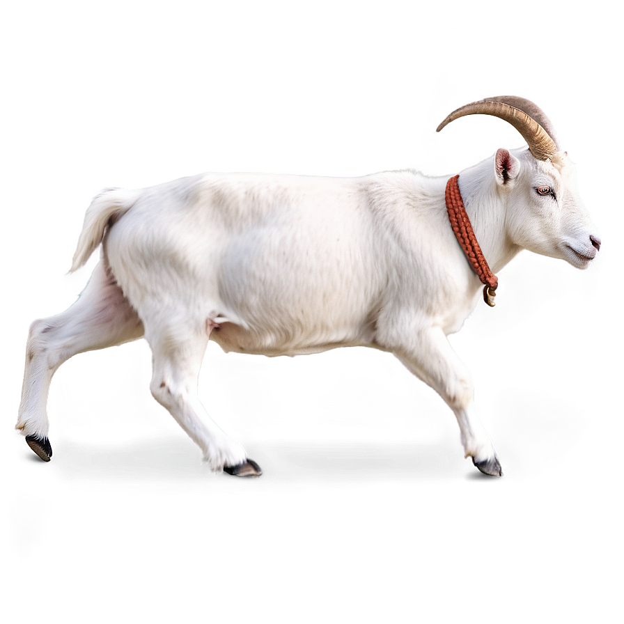 Dairy Goat Png Xqj