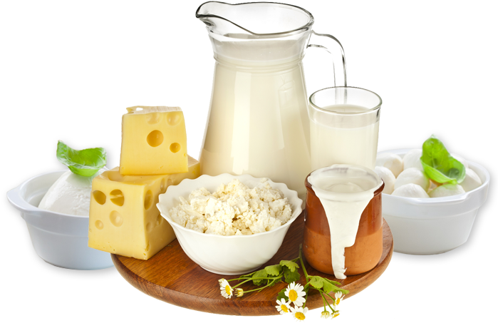 Dairy Products Variety