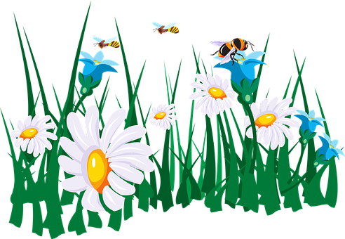 Daisies_and_ Bees_ Vector_ Illustration