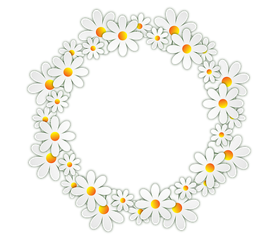 Daisy Chain Circle Black Background