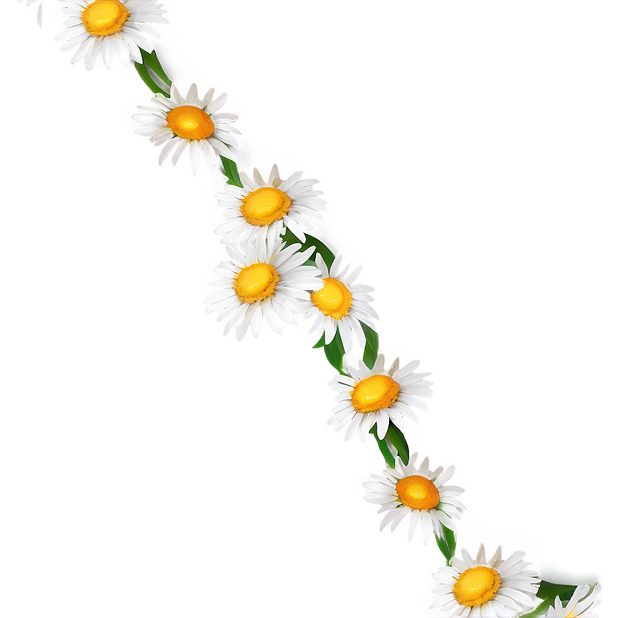 Daisy Chain Png Ufd