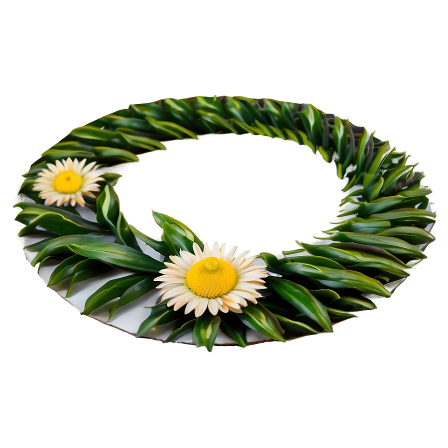 Daisy Circle Png 06252024