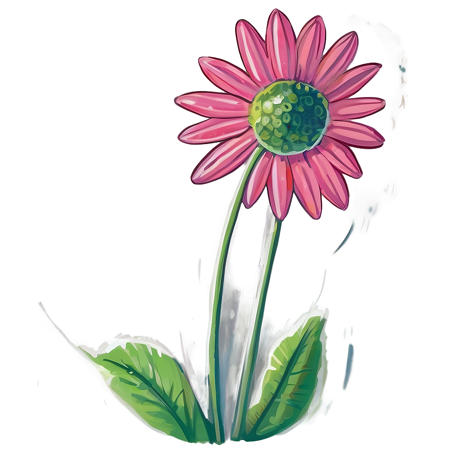 Daisy Drawing Png 05212024