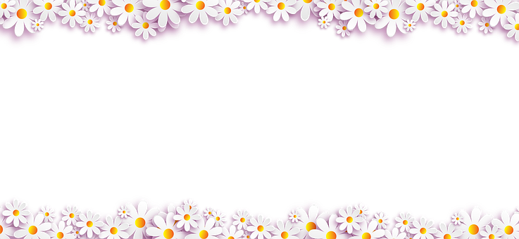 Daisy Flower Border Design