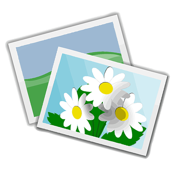 Daisy Flower Photo Icons